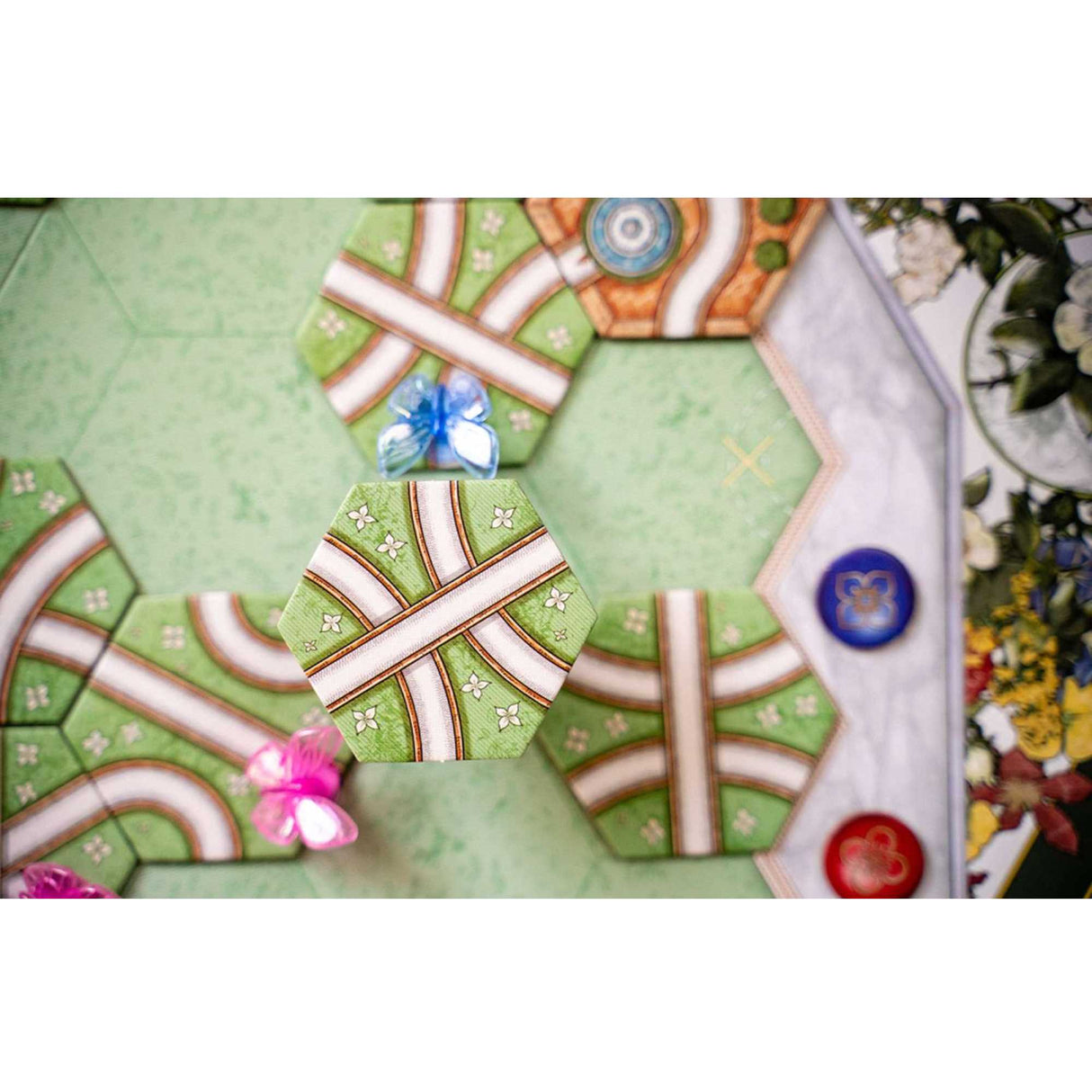 Butterfly Garden