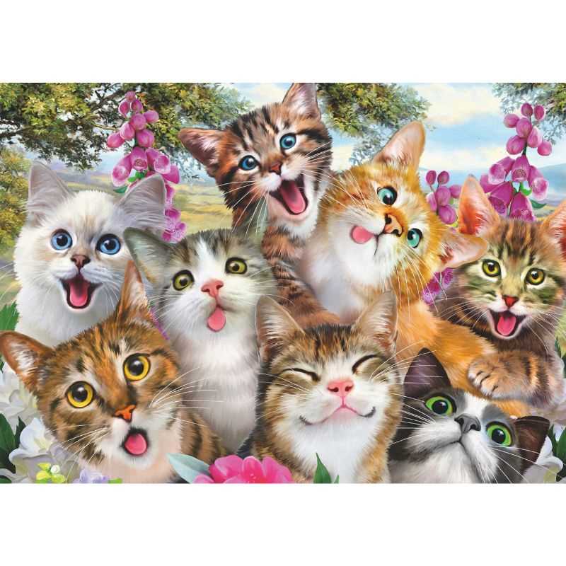 Cat Selfie (500pc)