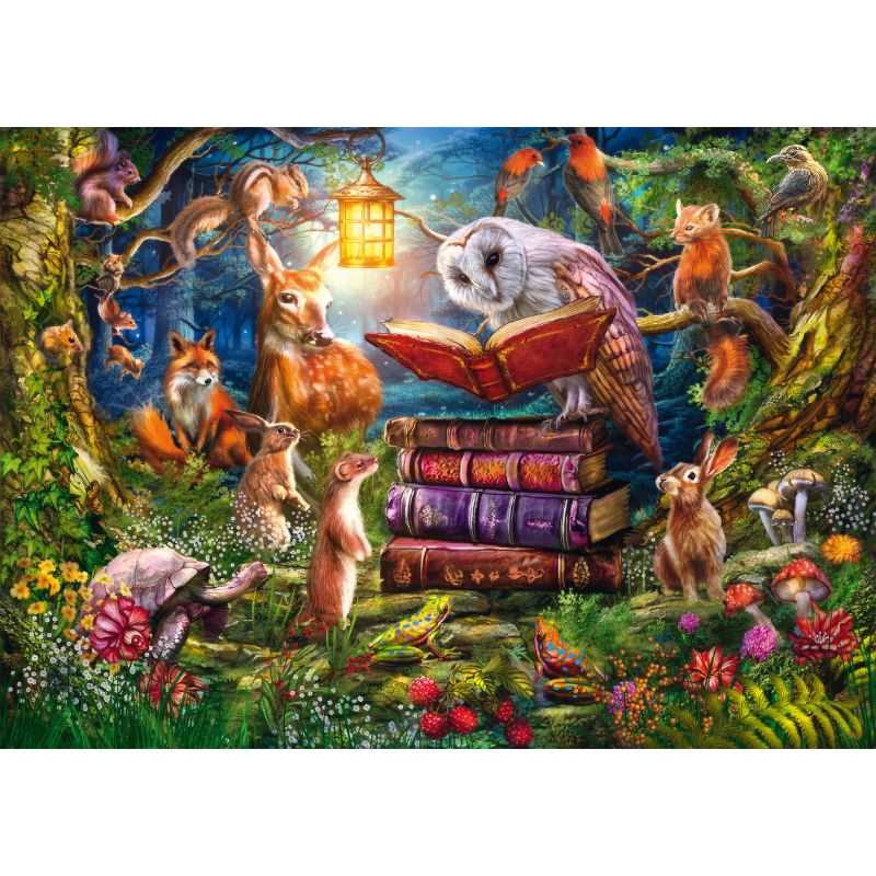 Forest Stories at Night (1000pc)