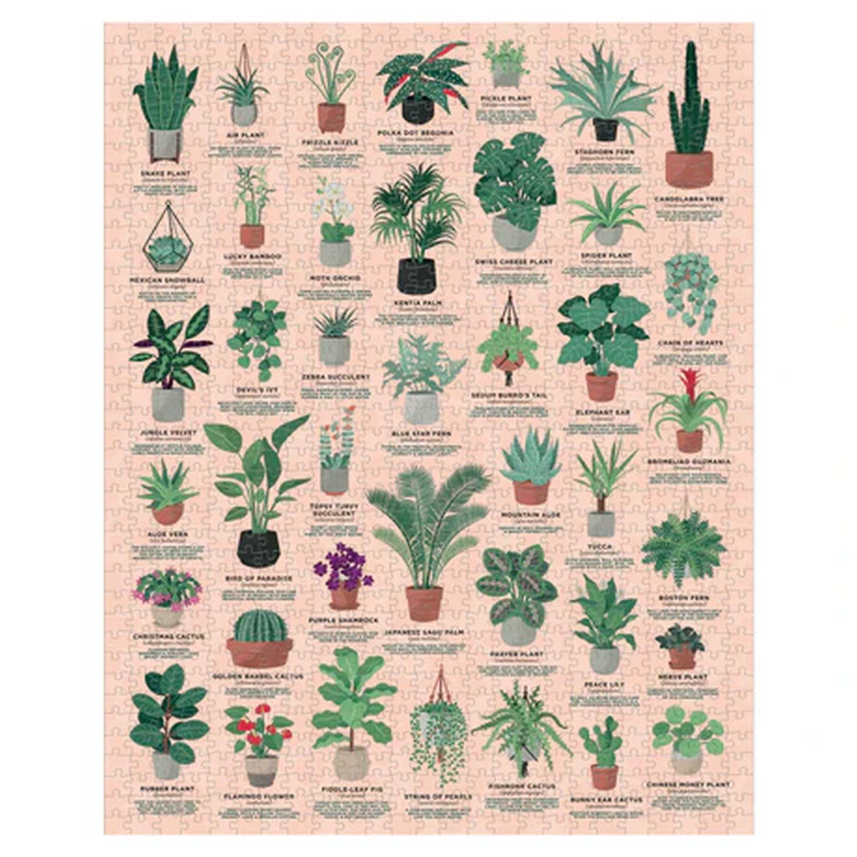 House of Plants Jigsaw (1000pc)