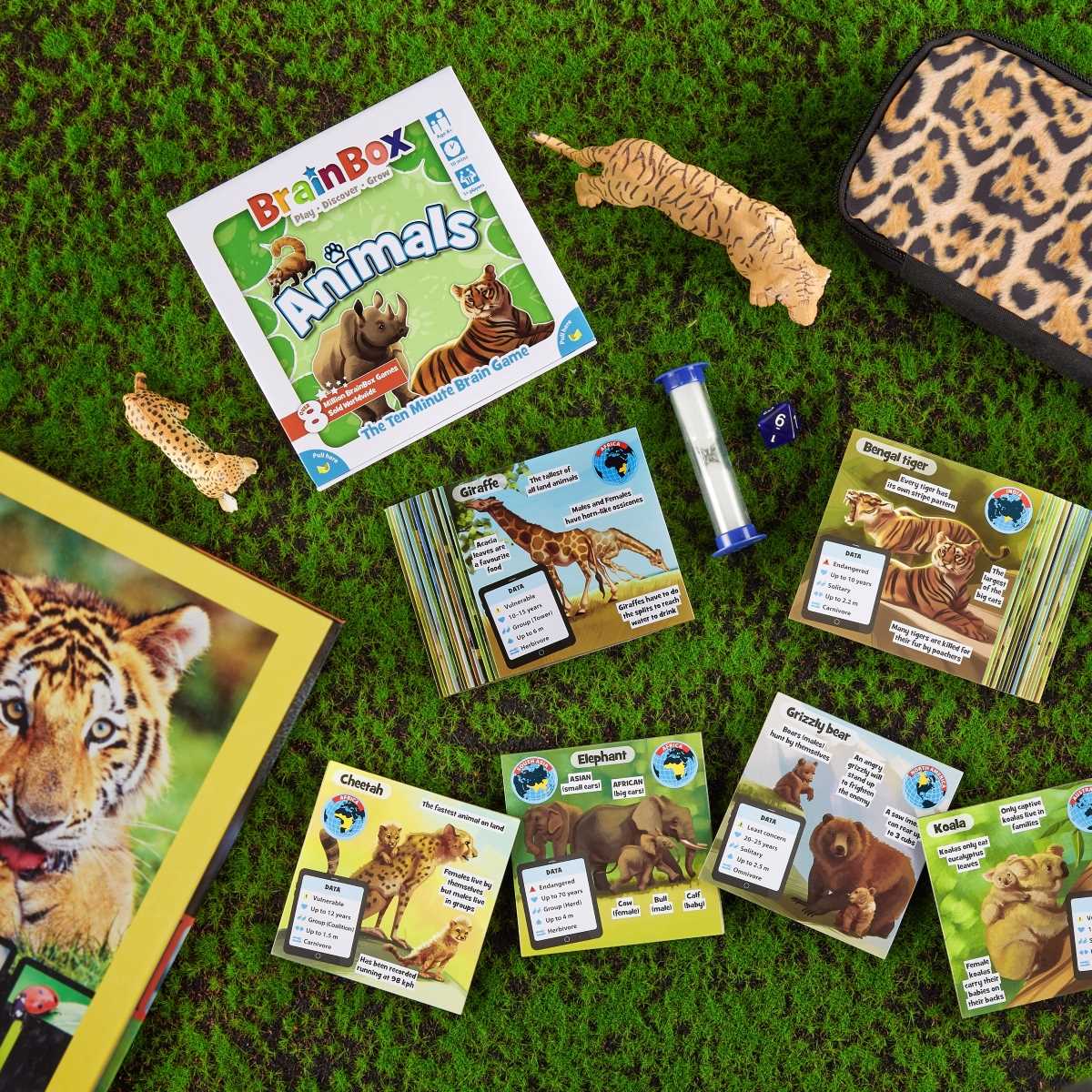 BrainBox Animals (Refresh 2022)
