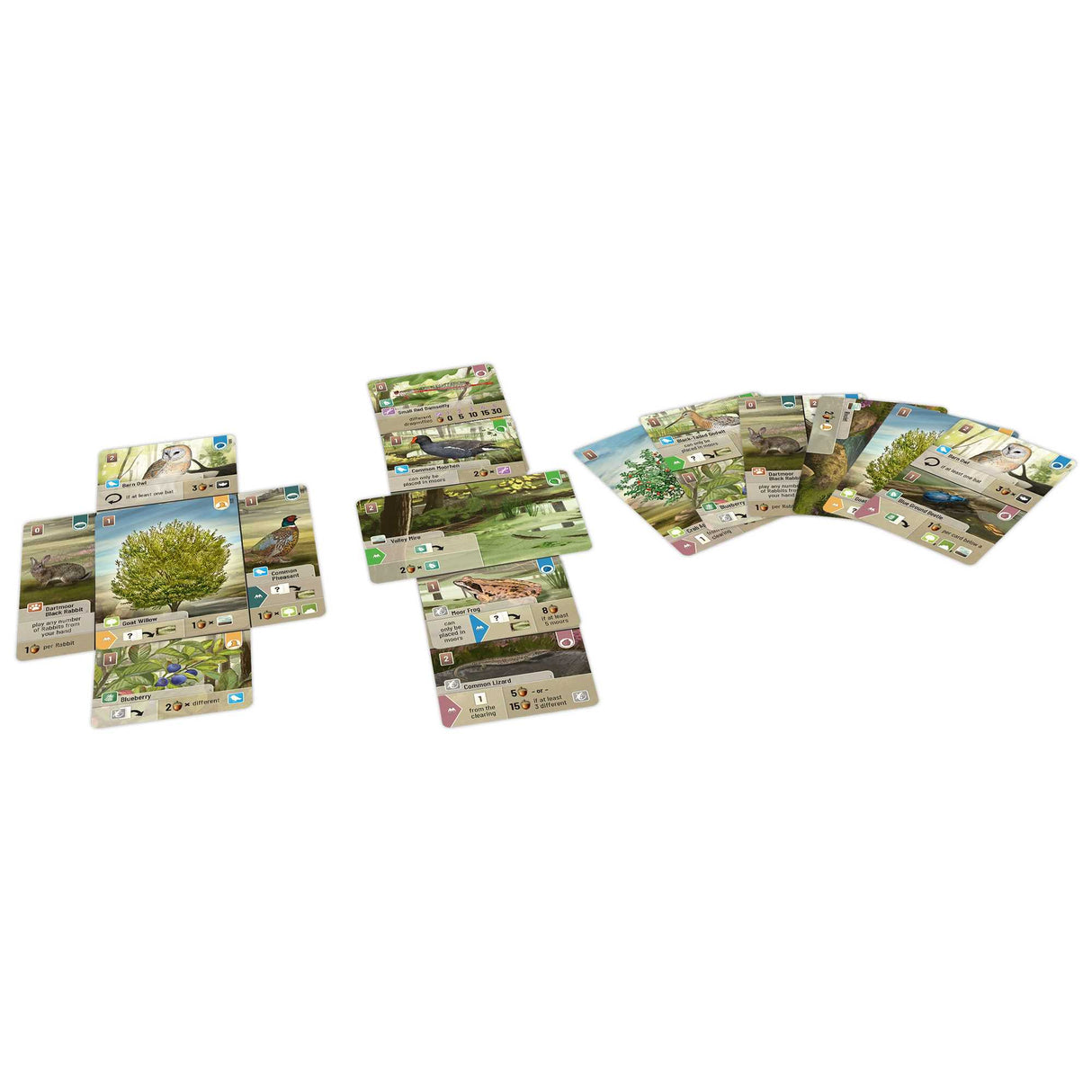 Forest Shuffle - Dartmoor