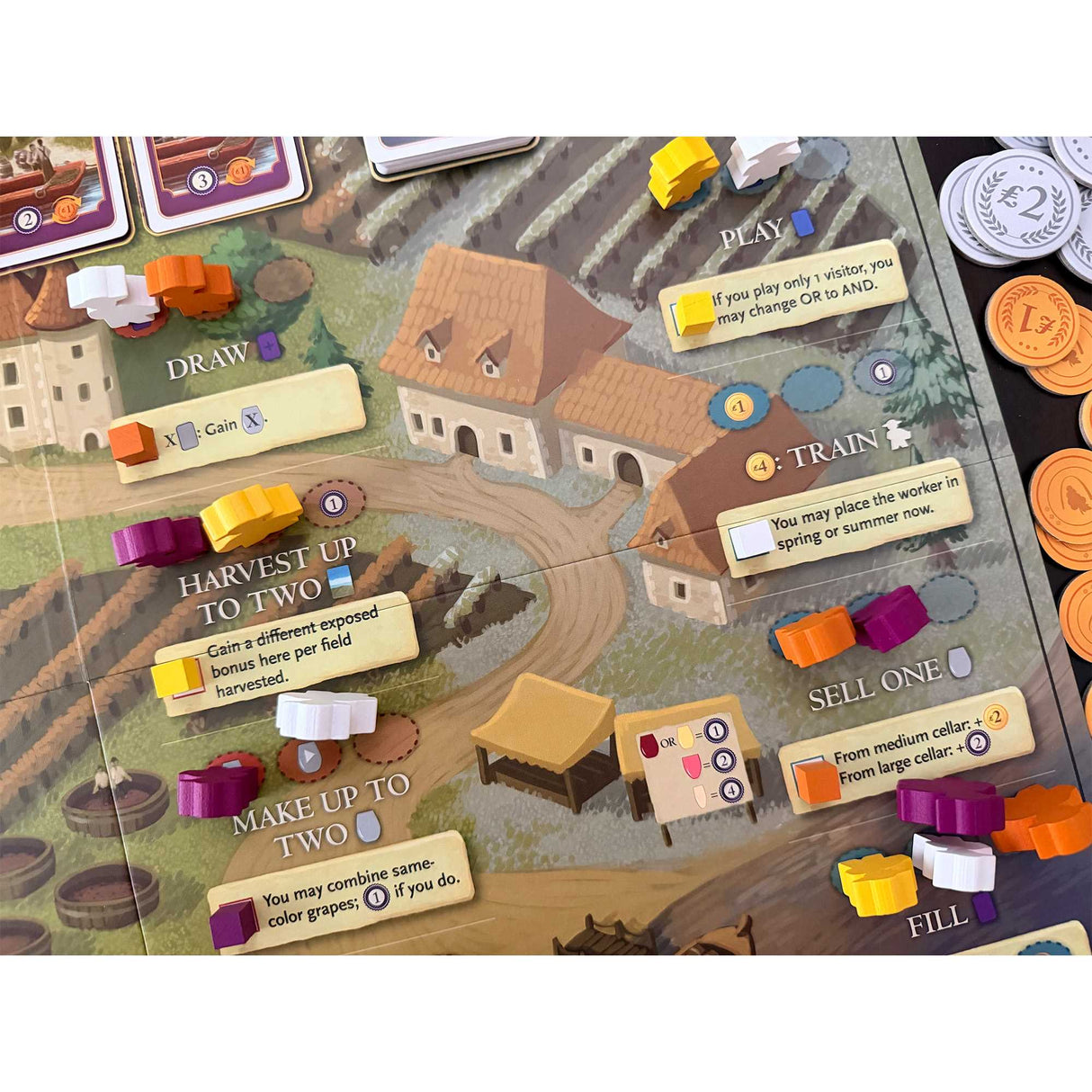 Viticulture: Bordeaux