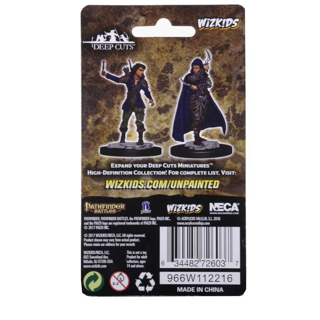 Pathfinder Deep Cuts Unpainted Miniatures: Human Female Rogue