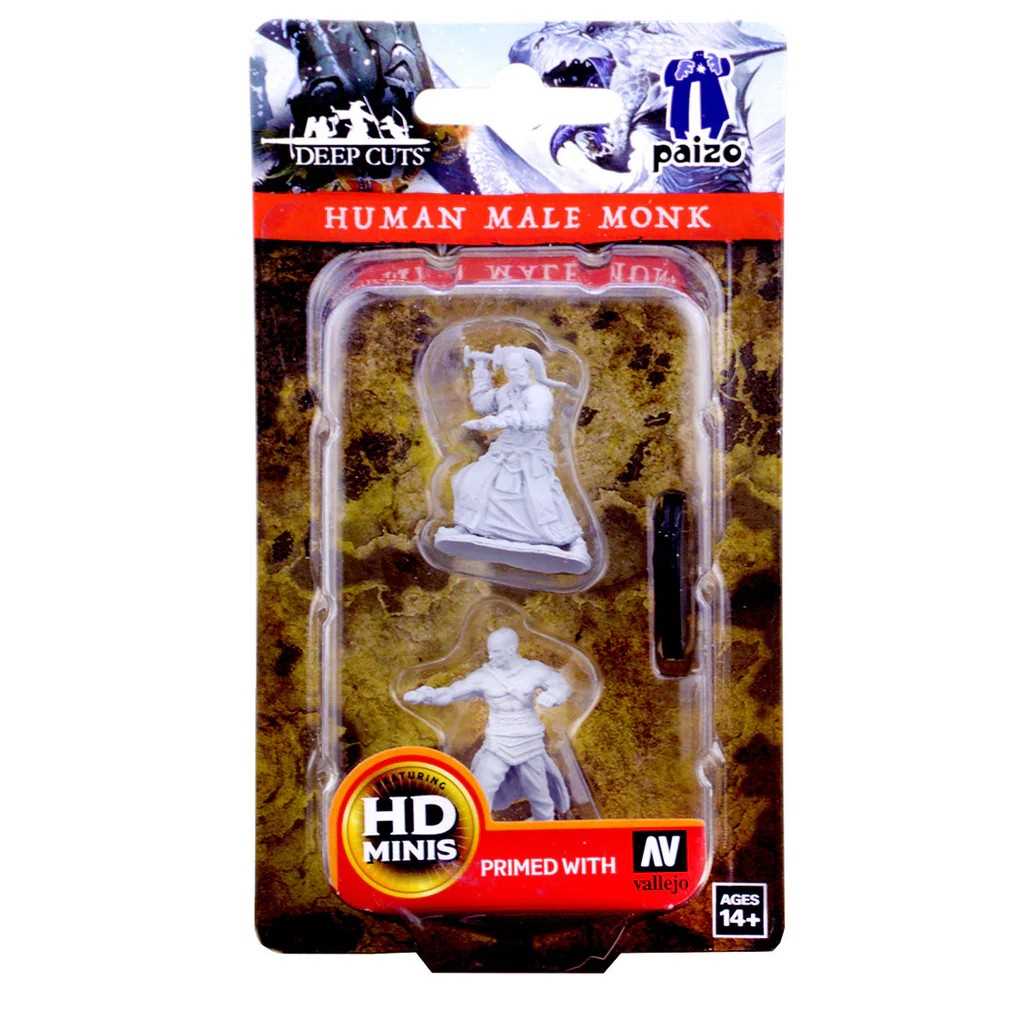 Pathfinder Deep Cuts Unpainted Miniatures: Human Male Monk