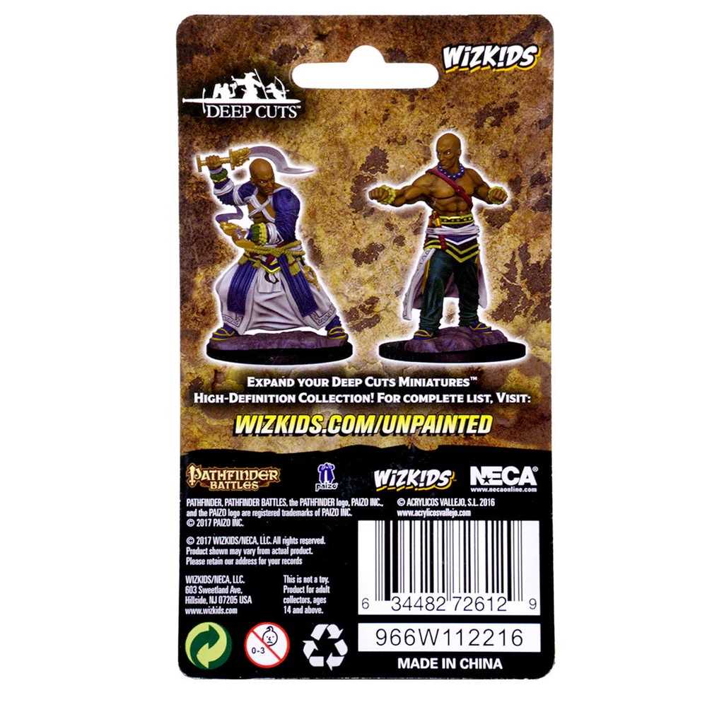 Pathfinder Deep Cuts Unpainted Miniatures: Human Male Monk