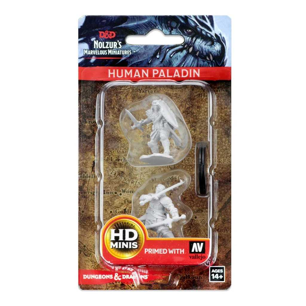 D&D Unpainted Miniatures: Human Male Paladin