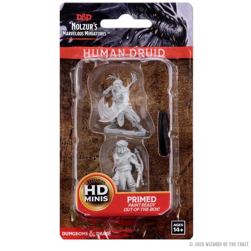 D&D Unpainted Miniatures: Male Human Druid