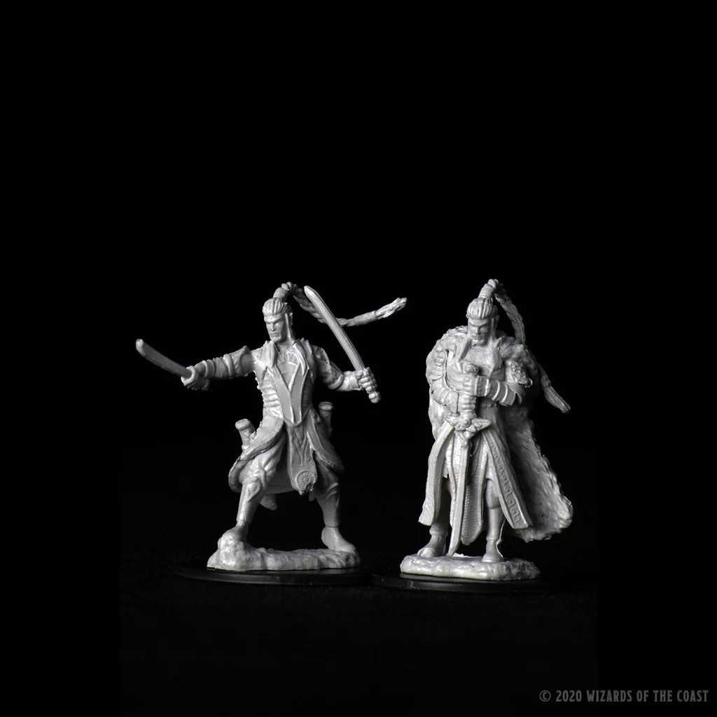 D&D Nolzur's Marvelous Unpainted Miniatures: Male Elf Paladin