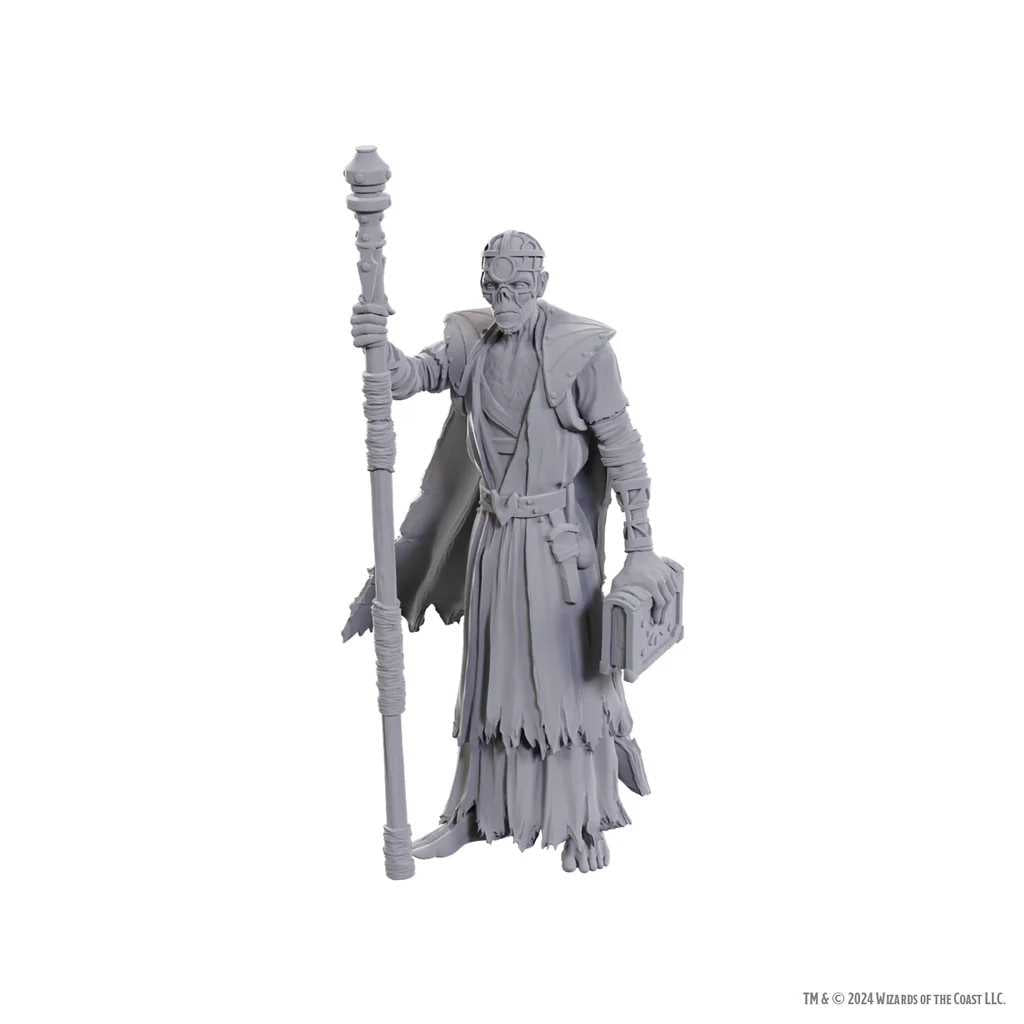 D&D Nolzur's Marvelous Unpainted Miniatures: Special Edition Baldur's Gate 3 - Volo & Withers