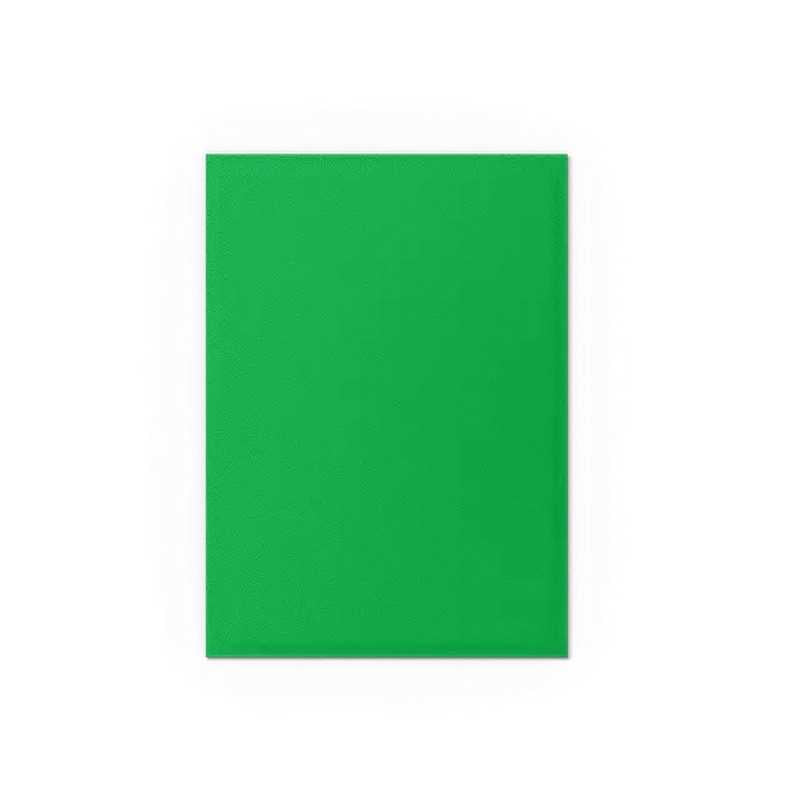 Dragon Shield Matte Dual Standard Sleeves - Apple Green & Silver (100 ct.)