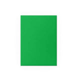 Dragon Shield Matte Dual Standard Sleeves - Apple Green & Silver (100 ct.)