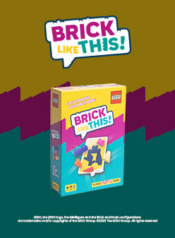 Brick Like This