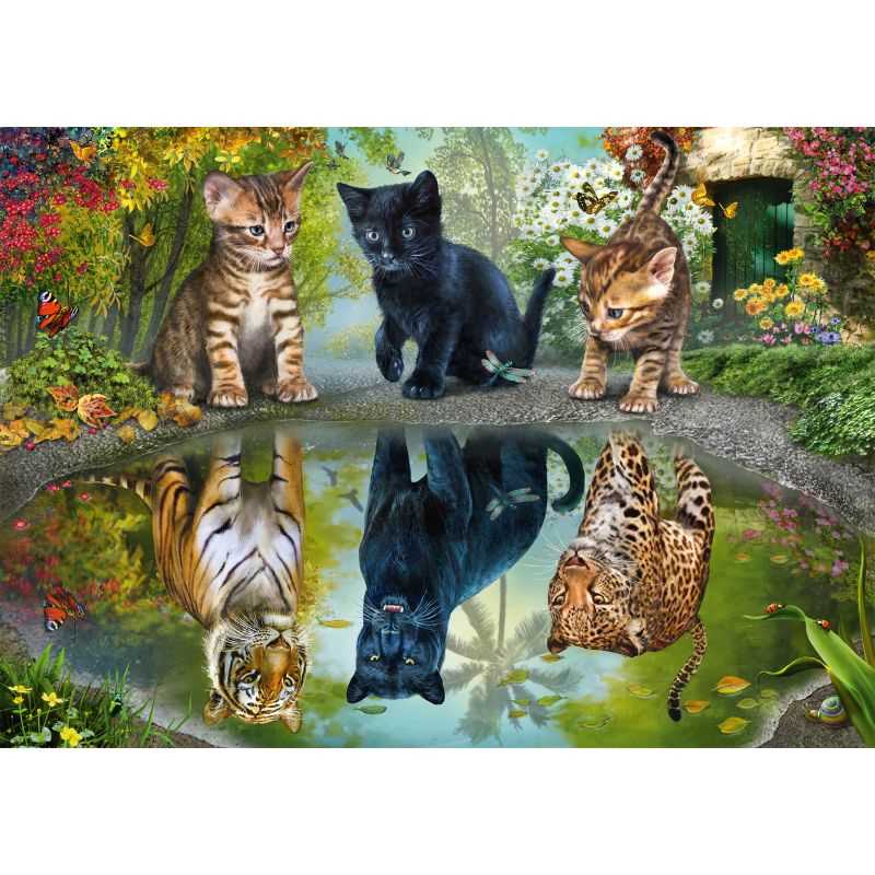 Dream Big! (1000pc)