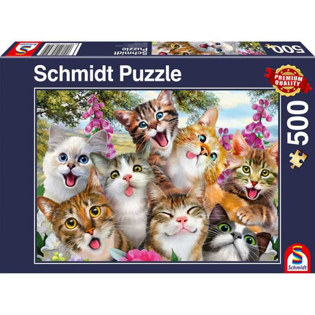 Cat Selfie (500pc)