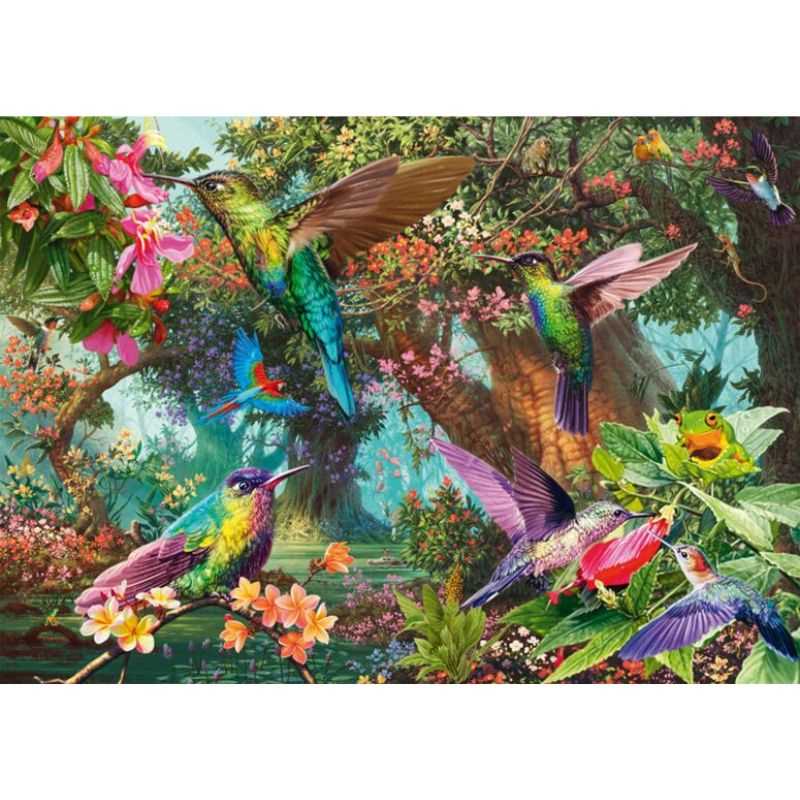 Hummingbirds in a Burst of Colour (1000pc)