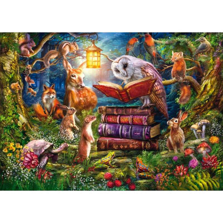 Forest Stories at Night (1000pc)