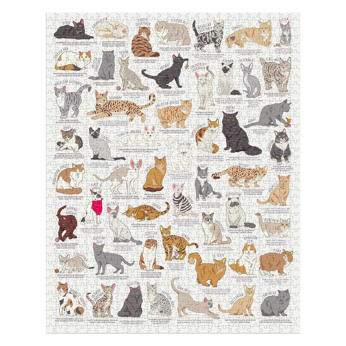 Cat Lover's Jigsaw (1000pc)