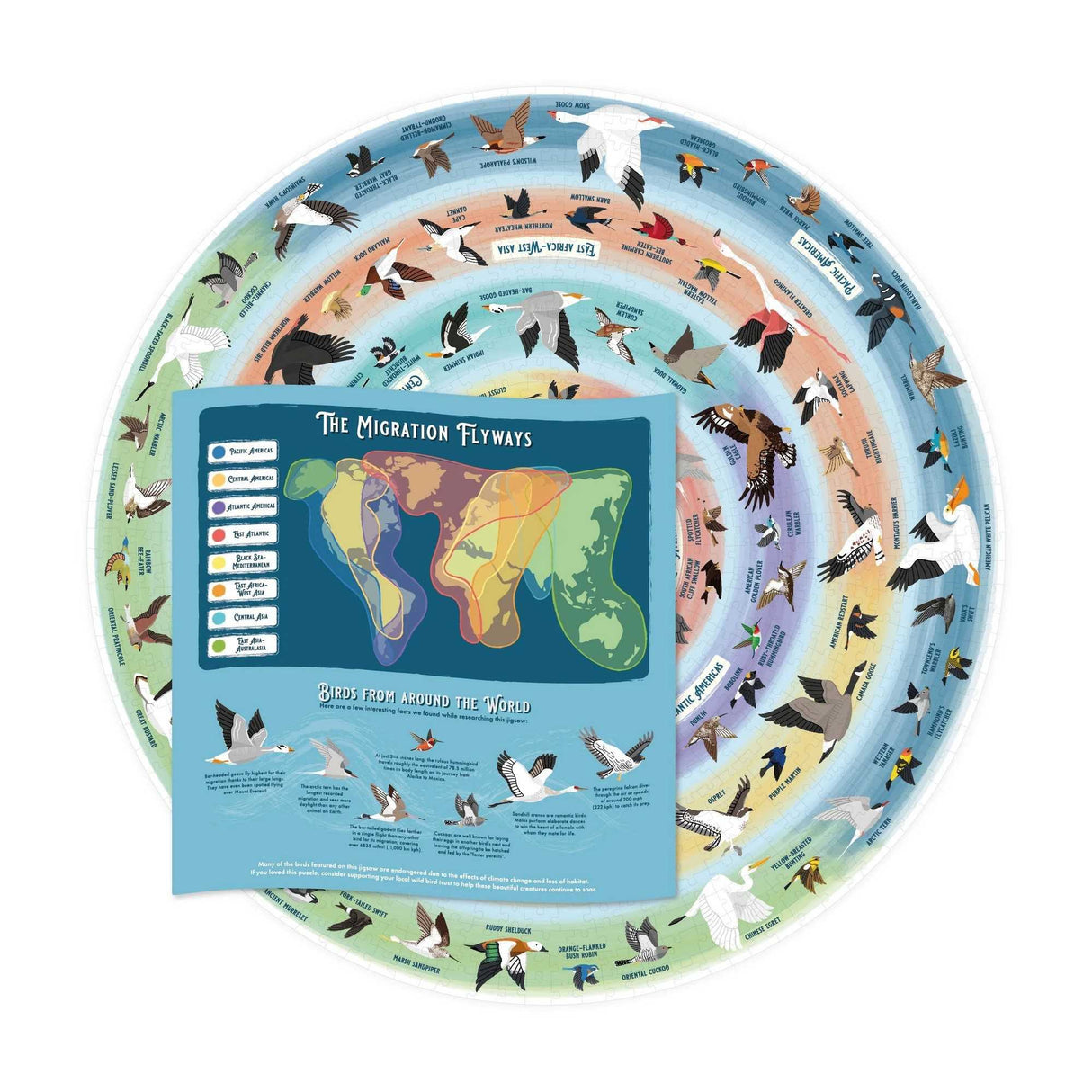 Bird Lover's (1000pc)