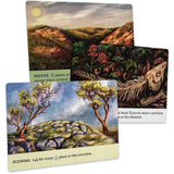 Reforest: Old Growth
