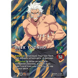 Universus: Solo Leveling: S-Rank Hunter Experience Bundle - Baek Yoonho