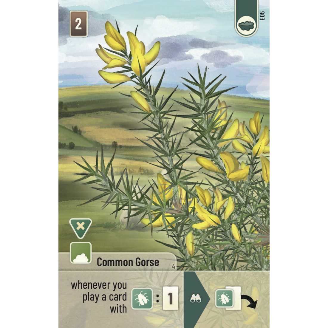 Forest Shuffle - Dartmoor: Exmoor Expansion