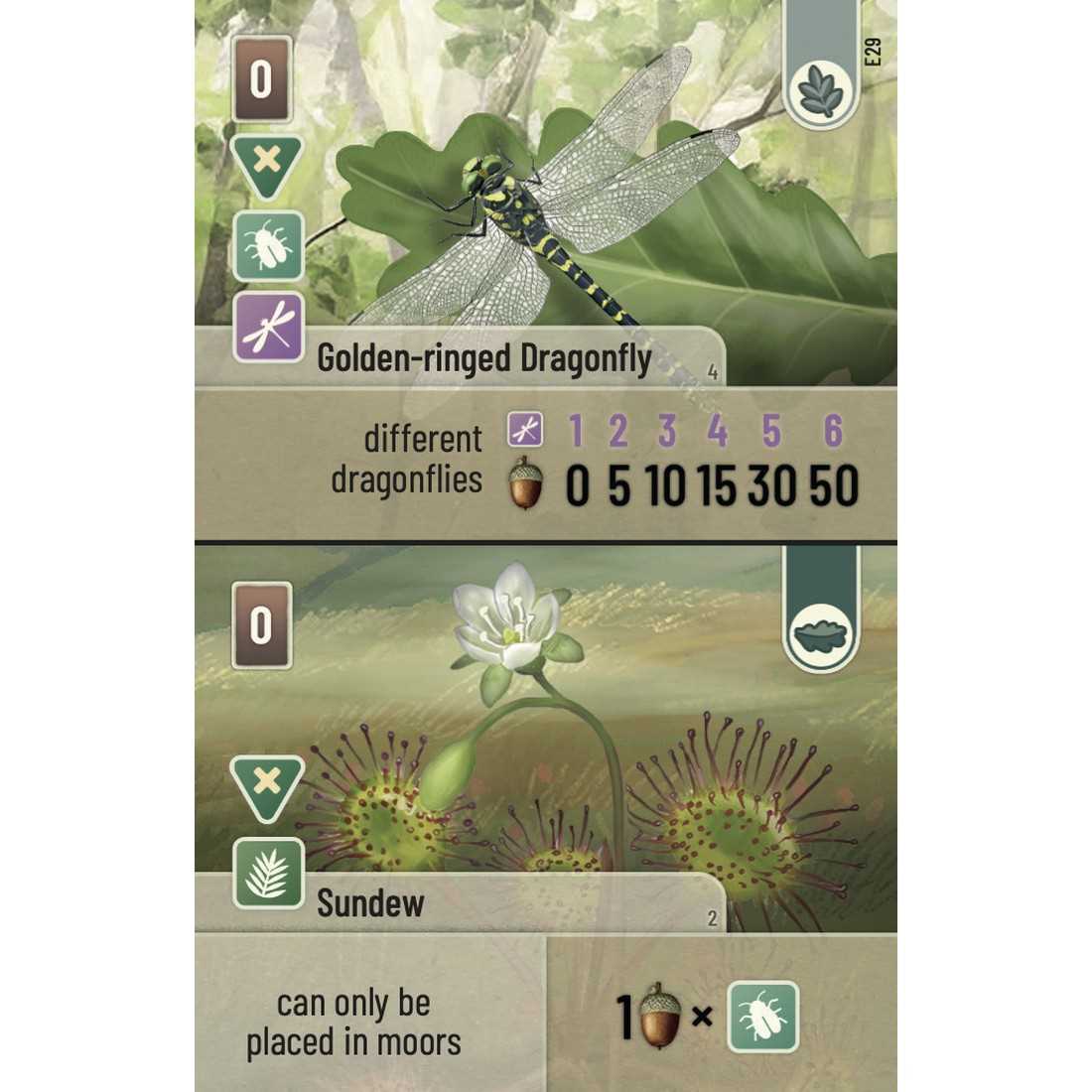 Forest Shuffle - Dartmoor: Exmoor Expansion
