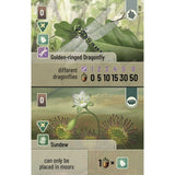 Forest Shuffle - Dartmoor: Exmoor Expansion