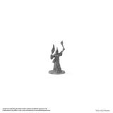 Dungeons & Dragons: Metal Miniatures - 1977 Holmes Boxed Set