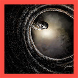 The Night Cage: Shrieking Hollow