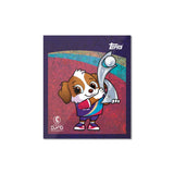 UEFA Women's Euros 2025 Sticker Packet