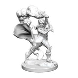 Pathfinder Deep Cuts Unpainted Miniatures: Human Female Cleric