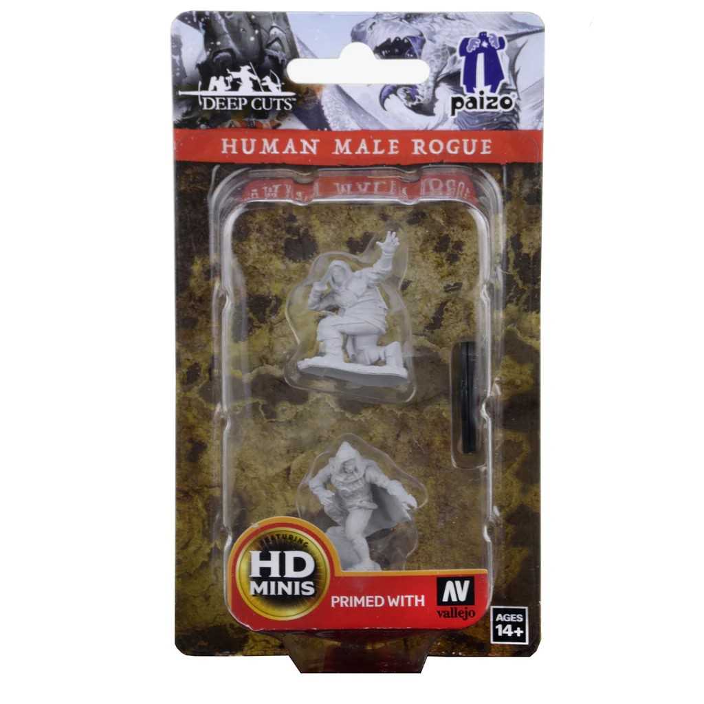 Pathfinder Deep Cuts Unpainted: Human Male Rogue