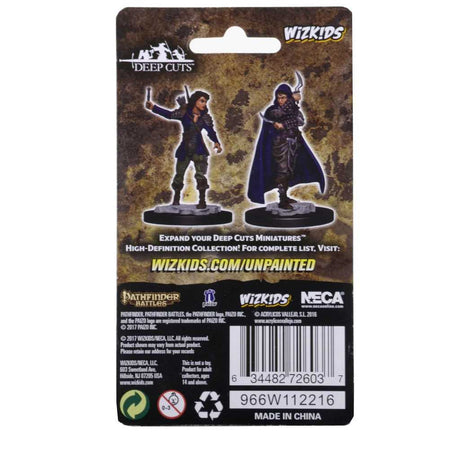 Pathfinder Deep Cuts Unpainted Miniatures: Human Female Rogue
