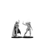 Pathfinder Deep Cuts Unpainted Miniatures: Human Female Rogue