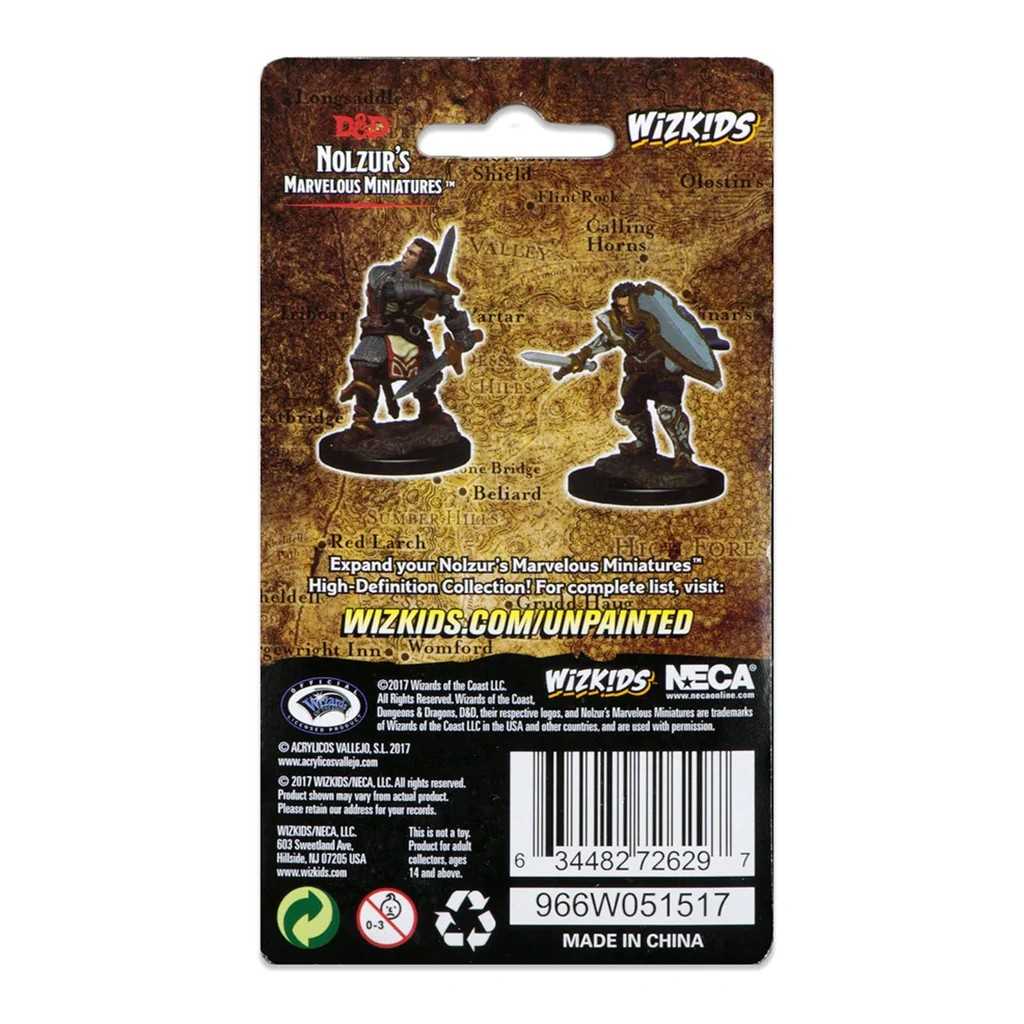 D&D Unpainted Miniatures: Human Male Paladin