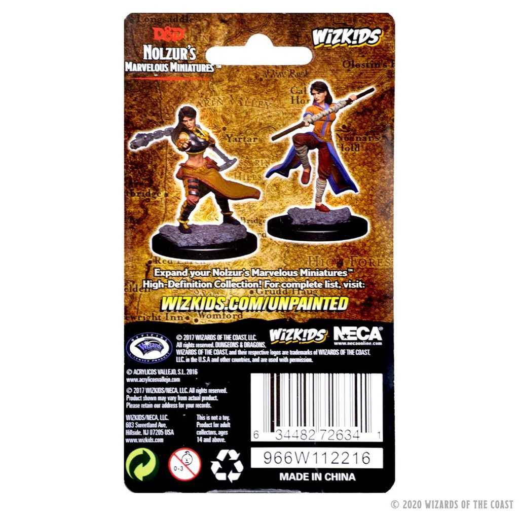 D&D Unpainted Miniatures: Human Female Monk