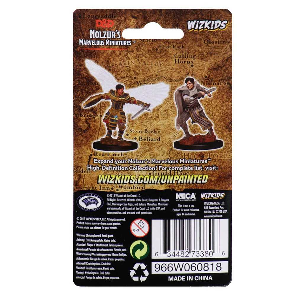 D&D Unpainted Miniatures: Male Aasimar Fighter