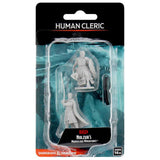 D&D Nolzur's Marvelous Unpainted Miniatures: Male Human Cleric