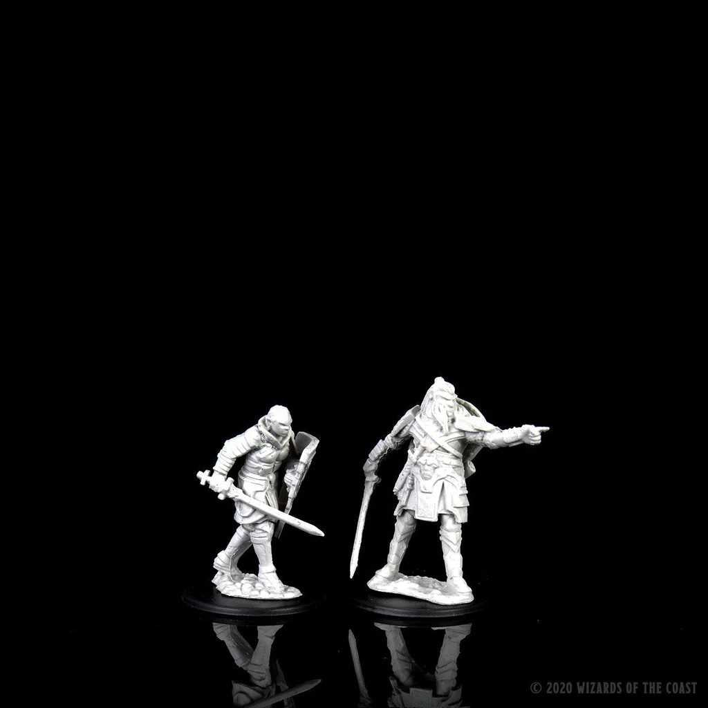 D&D Nolzur's Marvelous Unpainted Miniatures: Male Human Fighter