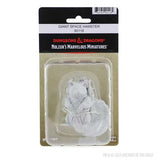 D&D Nolzur's Marvelous Unpainted Miniatures: Giant Space Hamster