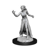 Magic the Gathering Unpainted Miniatures: Vampire Lacerator & Vampire Hexmage