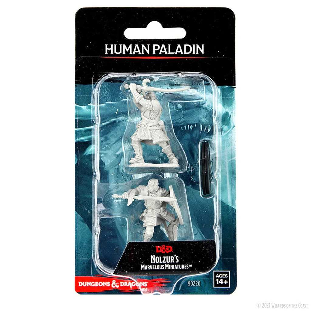 D&D Nolzur's Marvelous Miniatures: Human Paladin Male