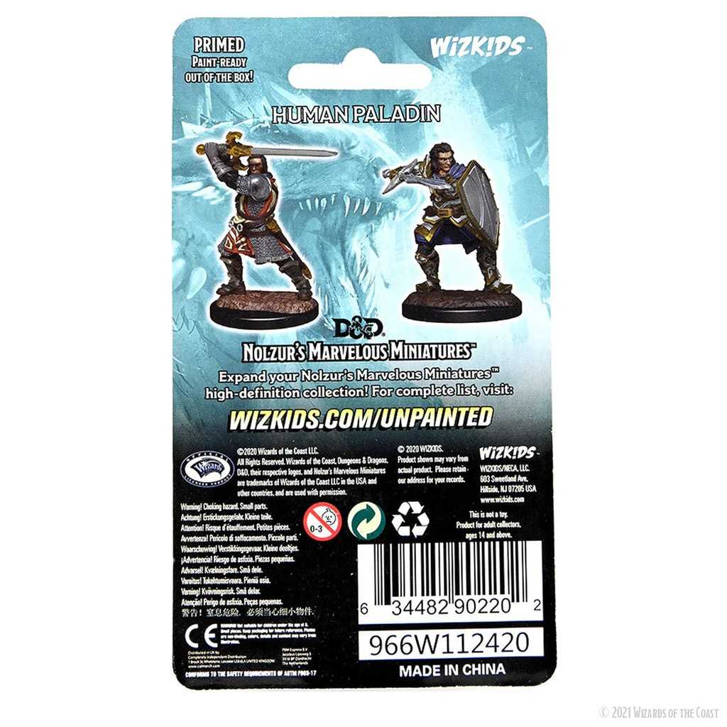 D&D Nolzur's Marvelous Miniatures: Human Paladin Male