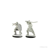 D&D Nolzur's Marvelous Miniatures: Human Paladin Male