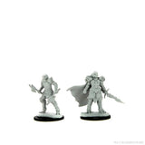 D&D Nolzur's Marvelous Miniatures: Dragonborn Fighter Female