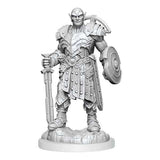 D&D Nolzur's Marvelous Unpainted Miniatures: Earth Genasi Fighter