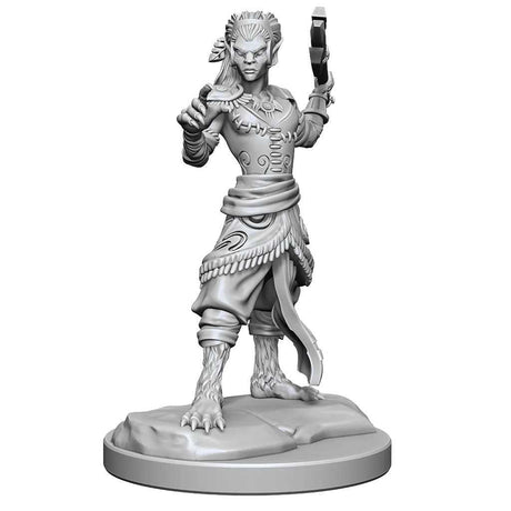 D&D Nolzur's Marvelous Unpainted Miniatures: Shifter Fighter