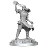 D&D Nolzur's Marvelous Unpainted Miniatures: Aasimar Cleric Female