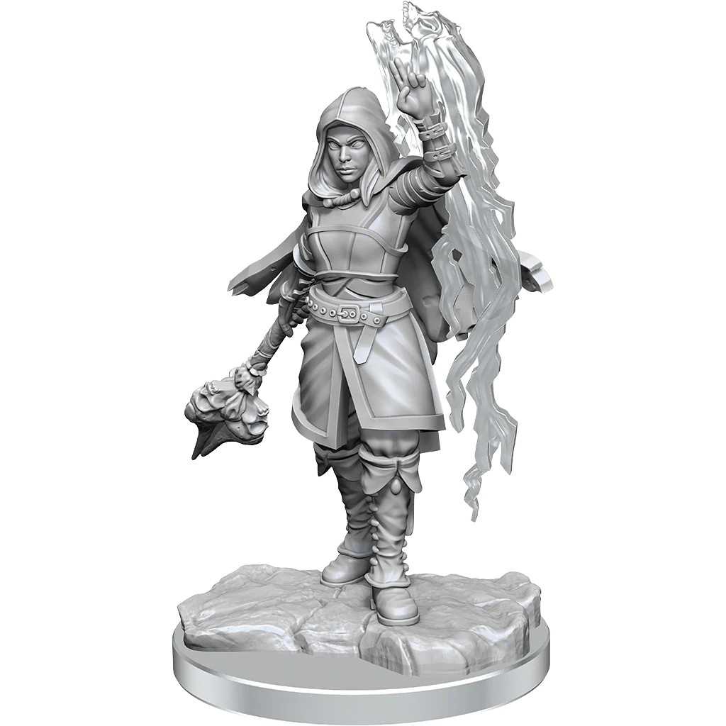 D&D Nolzur's Marvelous Unpainted Miniatures: Half-Elf Warlock